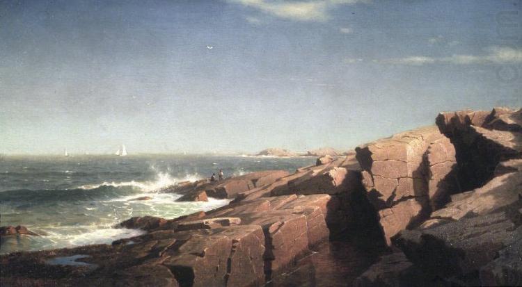 William Stanley Haseltine Rocks at Nahant china oil painting image
